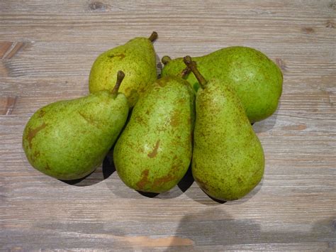 peren DEX .